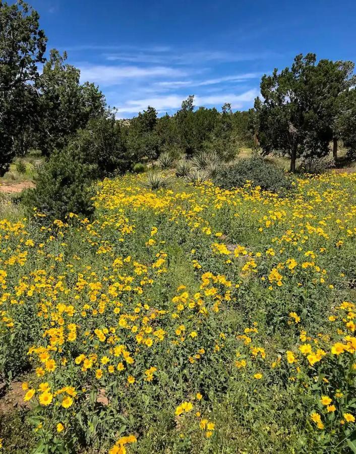 Pet Friendly Pinon Heaven Bed & Breakfast Canada de los Alamos Exterior foto